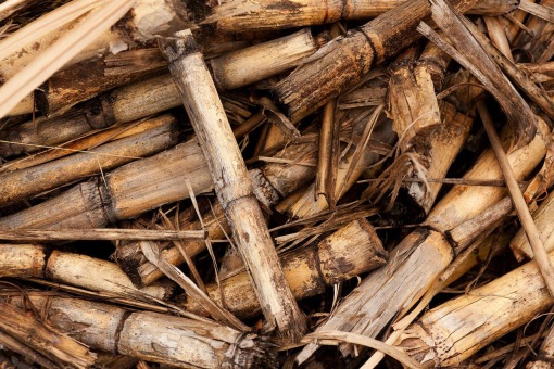 biomasa stosowana do ograniczania emisji gazów cieplarnianych